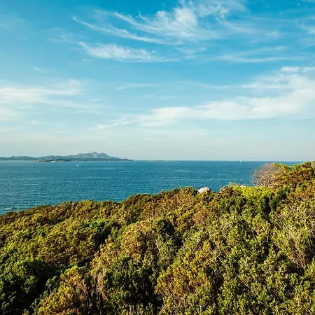 Appartement Trilo 6 Vm